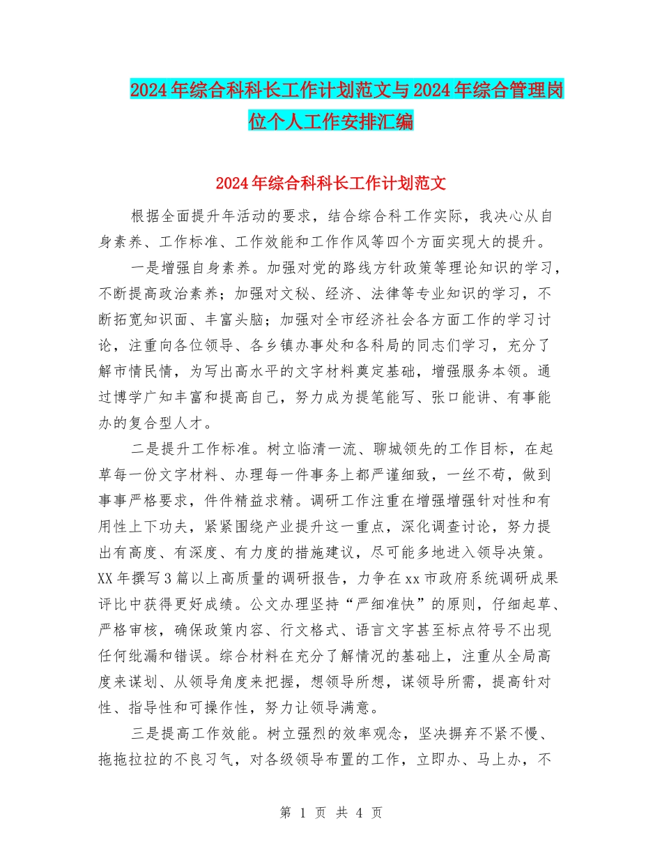 2024年综合科科长工作计划范文与2024年综合管理岗位个人工作安排汇编_第1页