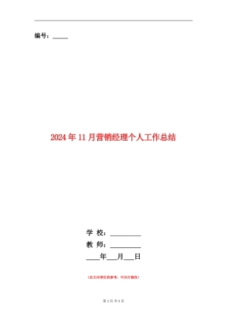 2024年11月营销经理个人工作总结