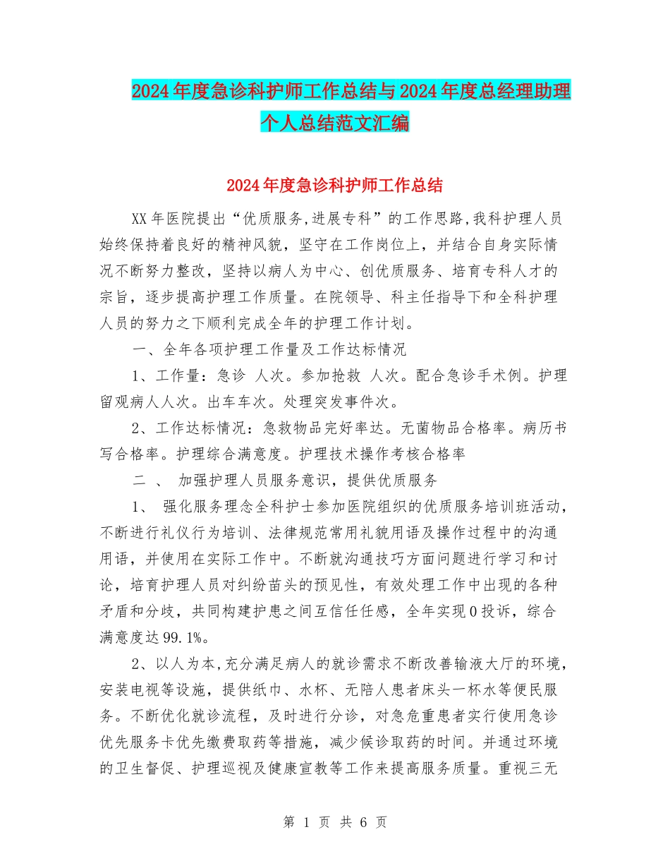 2024年度急诊科护师工作总结与2024年度总经理助理个人总结范文汇编_第1页