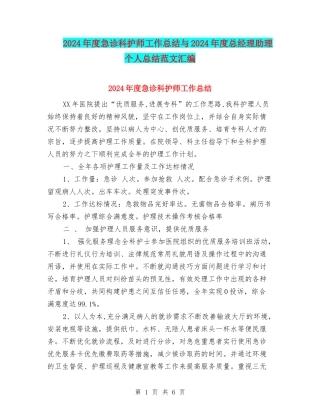 2024年度急诊科护师工作总结与2024年度总经理助理个人总结范文汇编