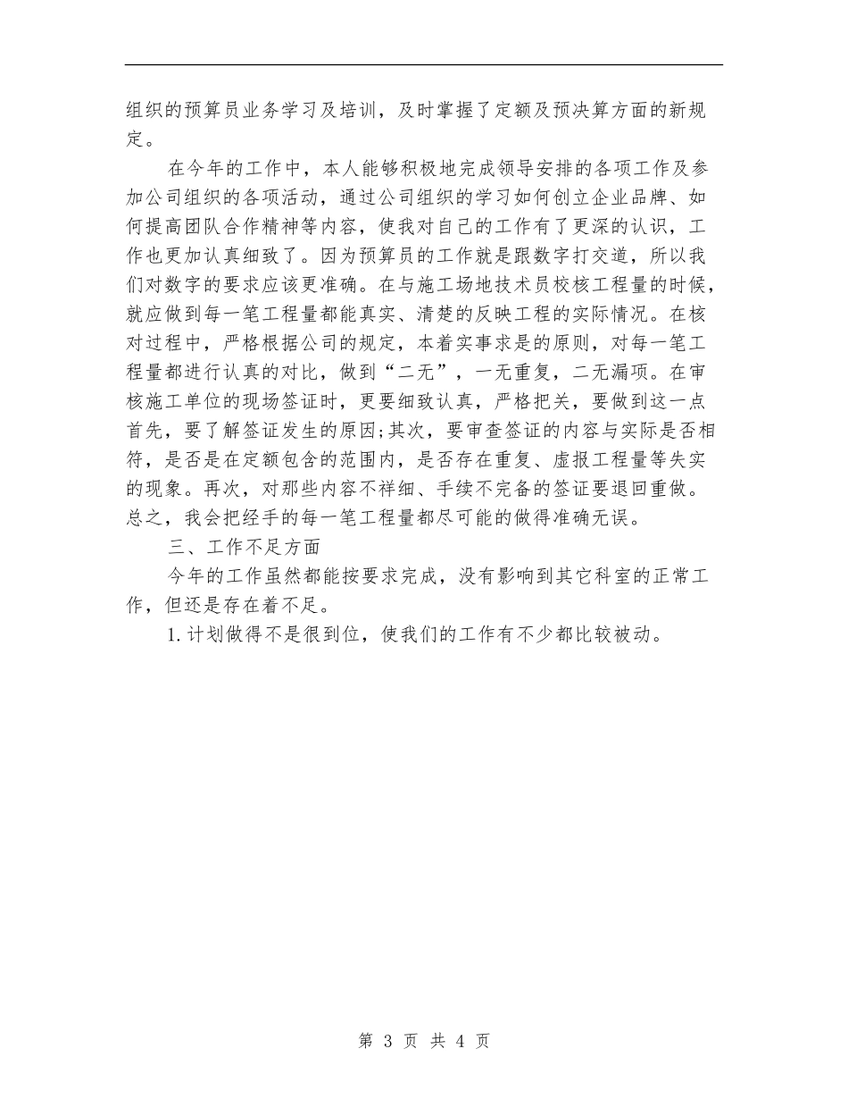 2024年预算人员年度个人总结范文_第3页
