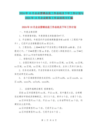 2024年10月企业营销总监工作总结及下年工作计划与2024年10月企业财务工作总结范文汇编