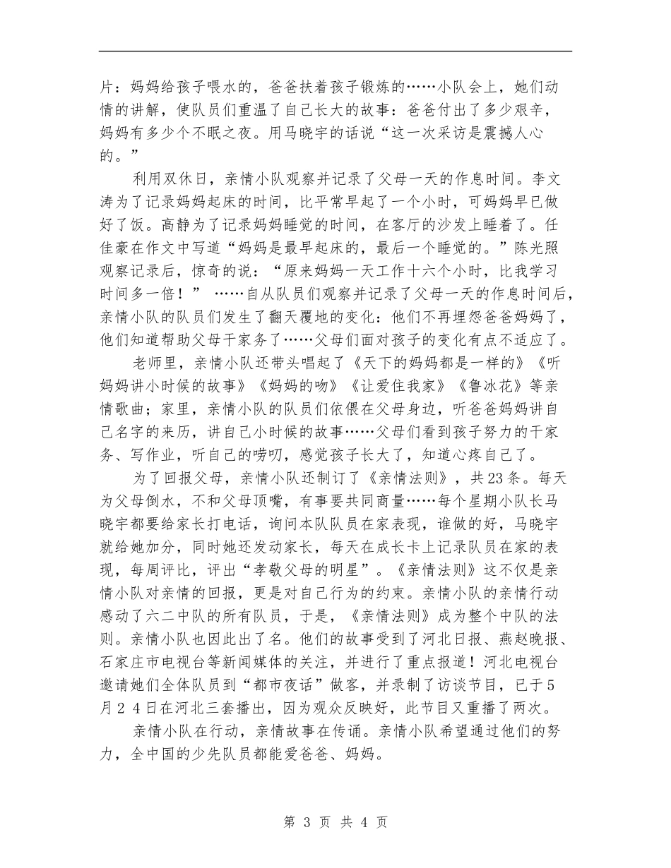 亲情小队在行动-小队活动方案设计_第3页