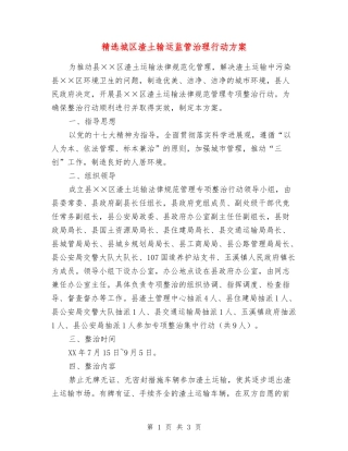 城区渣土输运监管治理行动方案