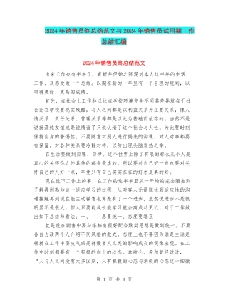 2024年销售员终总结范文与2024年销售员试用期工作总结汇编