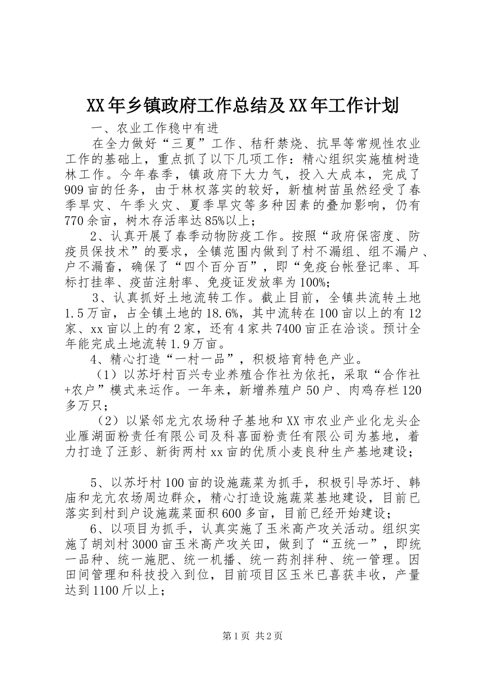 XX年乡镇政府工作总结及XX年工作计划_第1页