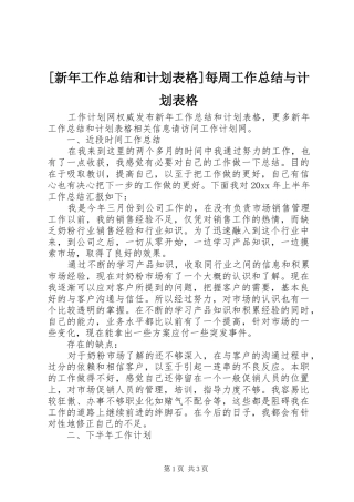 [新年工作总结和计划表格]每周工作总结与计划表格