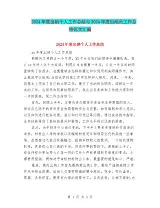 2024年度出纳个人工作总结与2024年度出纳员工作总结范文汇编