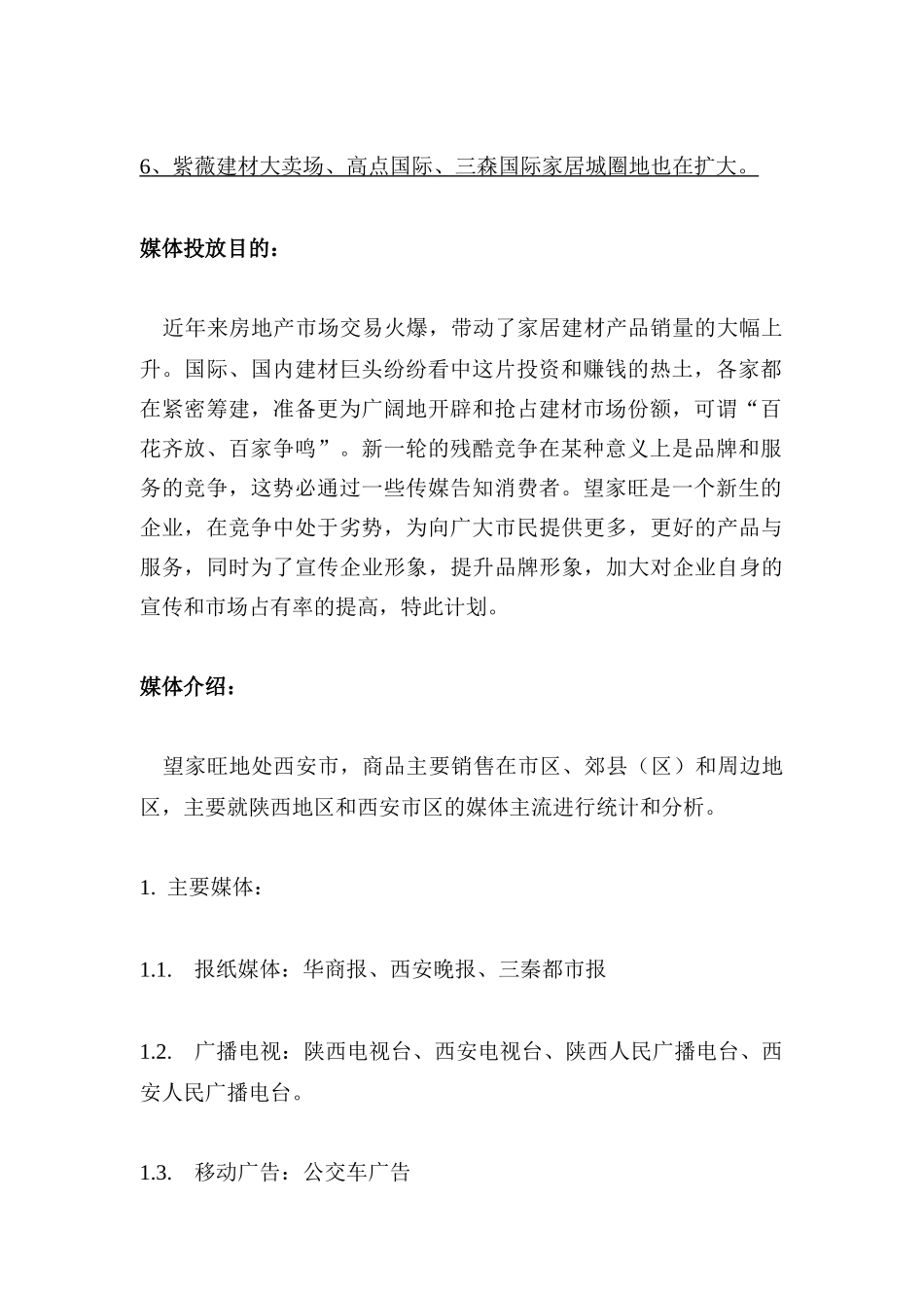 某超市媒体广告计划书_第2页