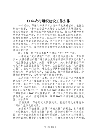 XX年农村组织建设工作安排