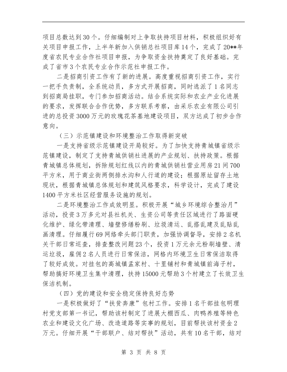 供销社上半年总结和下半年打算_第3页