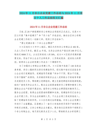 2024年11月非公企业党建工作总结与2024年11月项目个人工作总结范文汇编