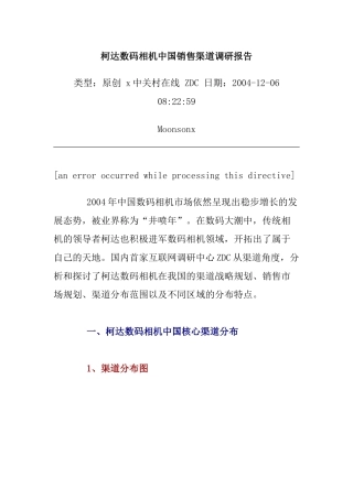 柯达数码相机在我国的销售渠道调研报告