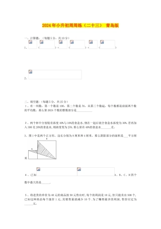 2024年小升初周周练(二十三)-青岛版