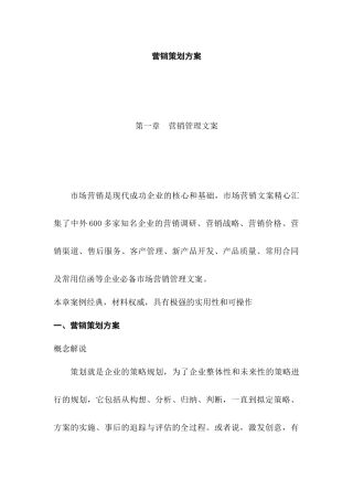 某公司营销策划方案( 80页)