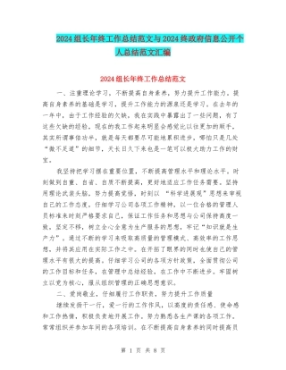 2024组长年终工作总结范文与2024终政府信息公开个人总结范文汇编