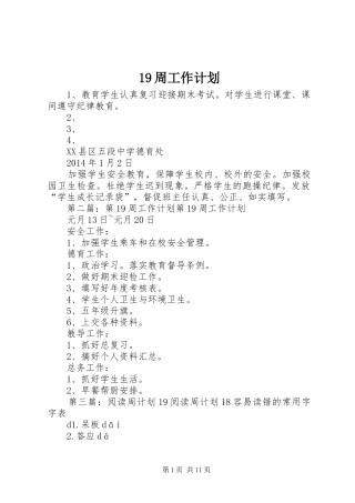 19周工作计划