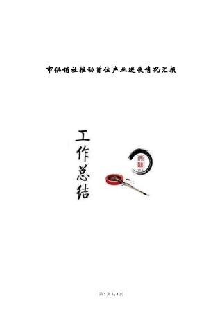 市供销社推进首位产业发展情况汇报