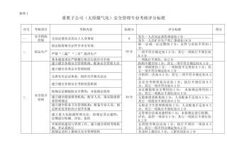安全管理专业考核评分标准附件
