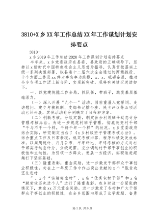3810+X乡XX年工作总结XX年工作谋划计划安排要点