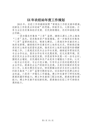 XX年农经站年度工作规划