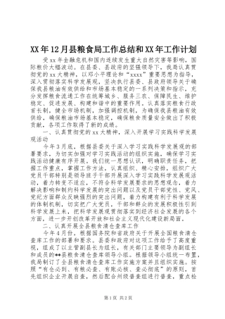XX年12月县粮食局工作总结和XX年工作计划