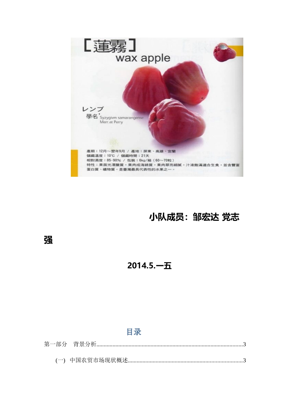 莲雾营销策划书范本_第2页