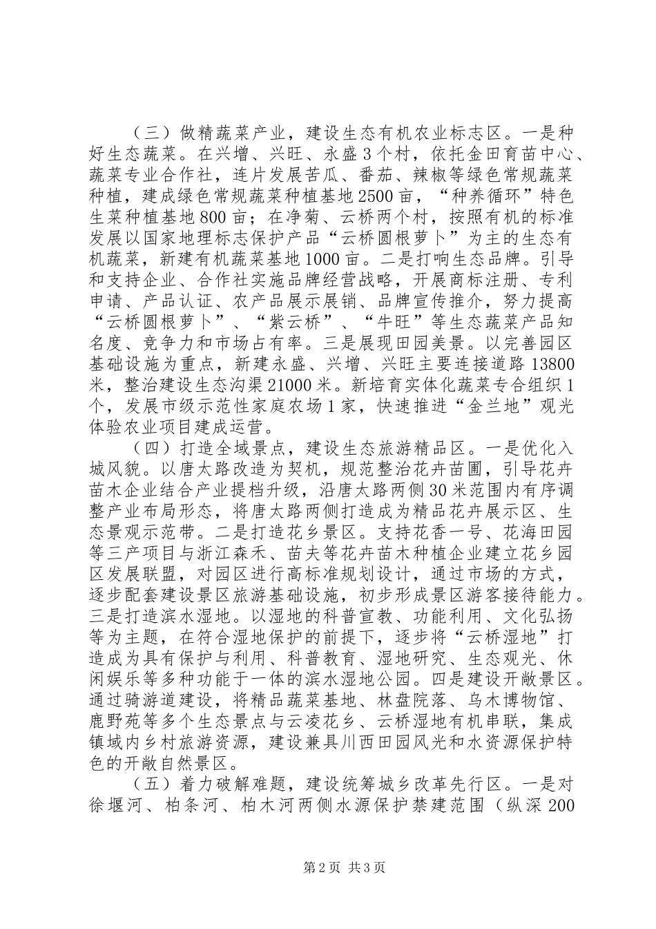 XX年乡镇年度发展规划_第2页