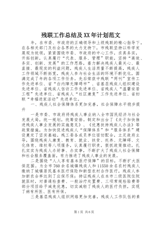 残联工作总结及XX年计划范文