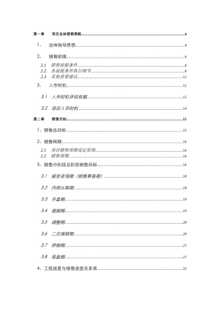某公司项目总体营销策略报告