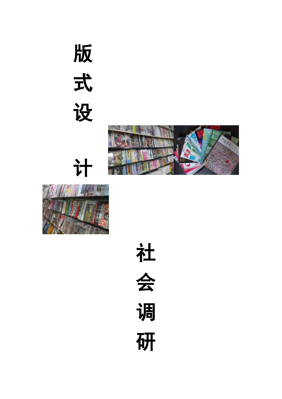 版式设计市场调研_第1页
