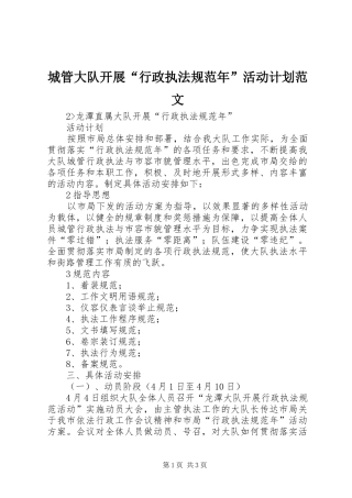 城管大队开展“行政执法规范年”活动计划范文