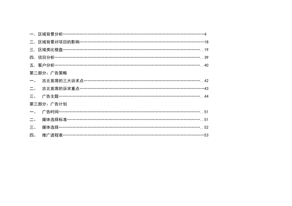 某公司广告策略及市场分析_第2页