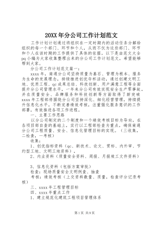 20XX年分公司工作计划范文