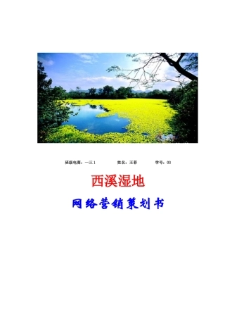 某湿地网络营销策划书