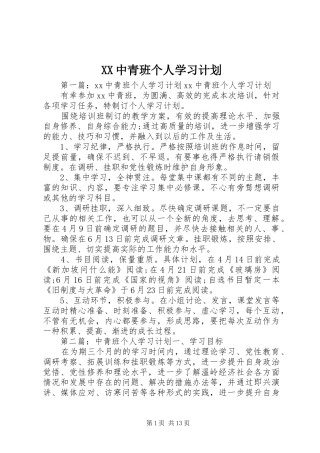 XX中青班个人学习计划