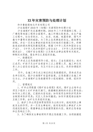 XX年灾害预防与处理计划