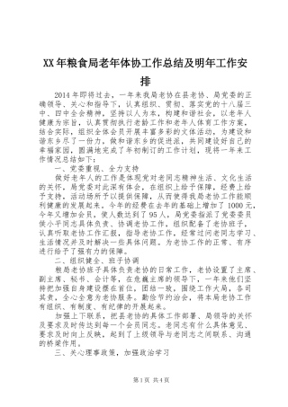 XX年粮食局老年体协工作总结及明年工作安排