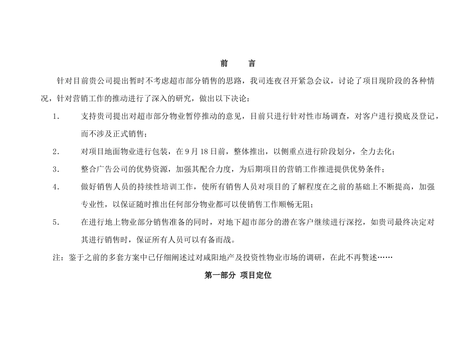 房地产行业某某项目整体营销策略_第2页