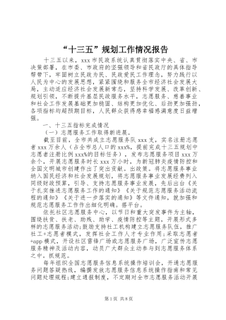 “十三五”规划工作情况报告