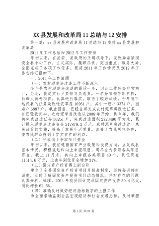 XX县发展和改革局11总结与12安排