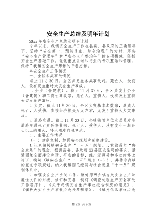 安全生产总结及明年计划