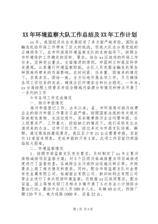 XX年环境监察大队工作总结及XX年工作计划