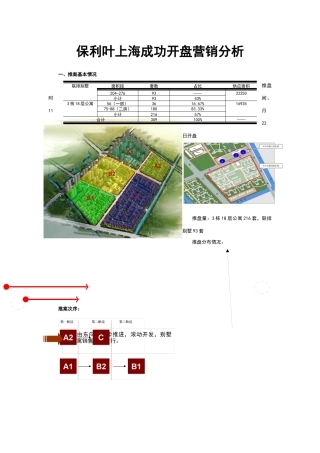 某地产叶上海成功开盘营销分析