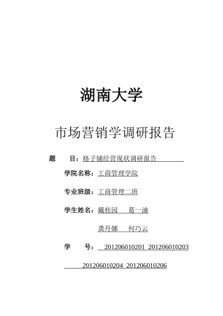 格子铺市场营销报告