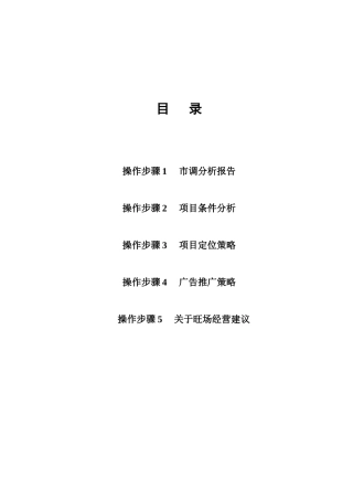 江阳商贸城整合营销方案32