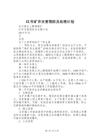 XX年矿井灾害预防及处理计划
