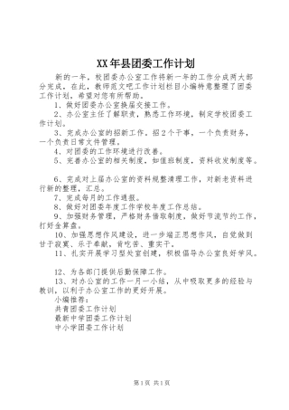 XX年县团委工作计划