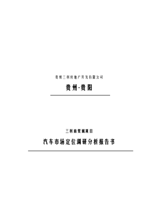 汽车项目市场调研报告书