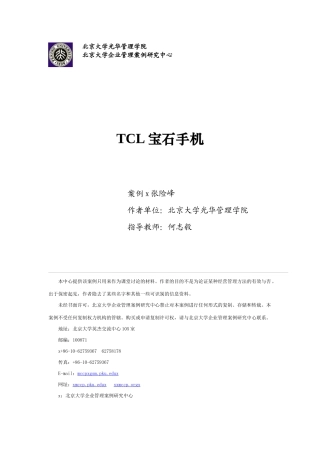 某电子集团宝石手机营销方案